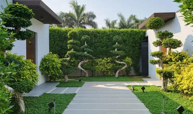 Landscaping Services in Beaverton Oregon